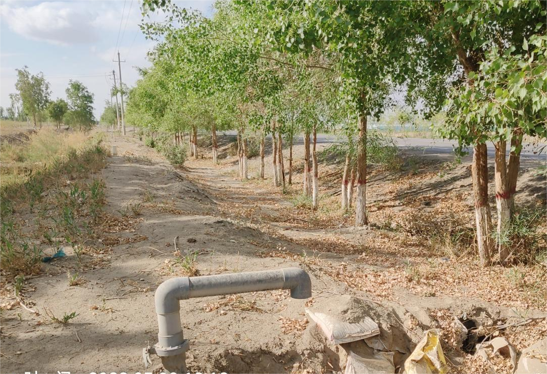 8.为最美公路抵御沙暴.png